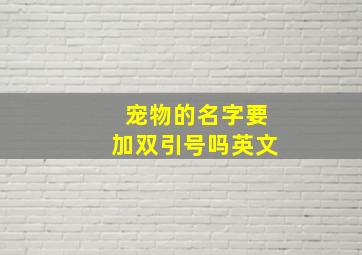 宠物的名字要加双引号吗英文,宠物的名字要加双引号吗英文怎么说