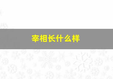 宰相长什么样,宰相的样子