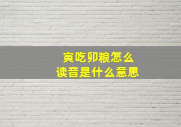 寅吃卯粮怎么读音是什么意思,寅吃卯粮怎么解释