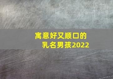 寓意好又顺口的乳名男孩2022,2022虎年最旺男孩名字乳名2022好听到爆的男孩乳名属虎