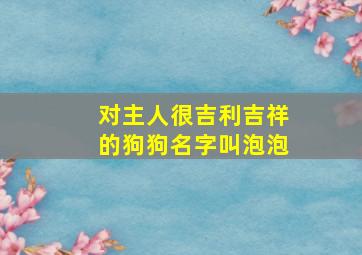 对主人很吉利吉祥的狗狗名字叫泡泡,狗狗名字吉利顺口