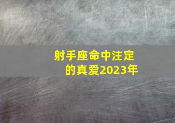 射手座命中注定的真爱2023年,2023年旧情复燃的星座