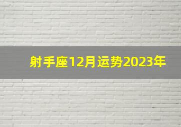 射手座12月运势2023年,2023年十二星座的运势如何分析