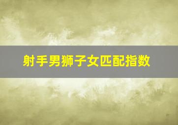 射手男狮子女匹配指数,射手男狮子女匹配指数是多少