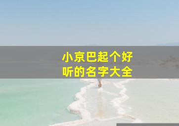 小京巴起个好听的名字大全