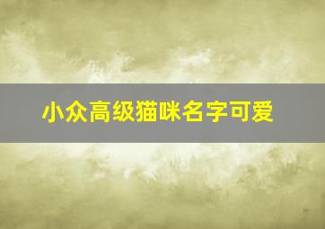 小众高级猫咪名字可爱,猫的名字洋气点招财