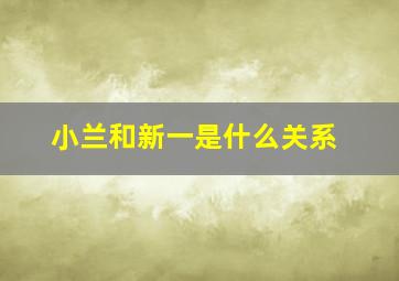 小兰和新一是什么关系,小兰和新一啥关系