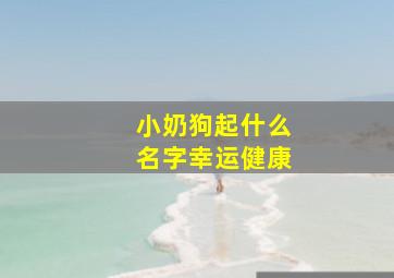 小奶狗起什么名字幸运健康,小奶狗应该起什么名字