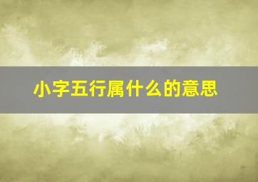 小字五行属什么的意思