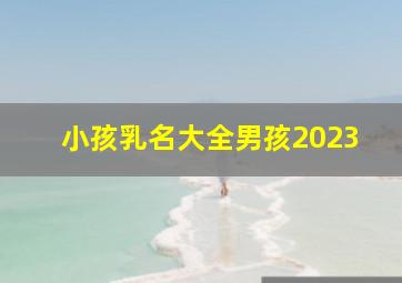 小孩乳名大全男孩2023,2023年男孩小名