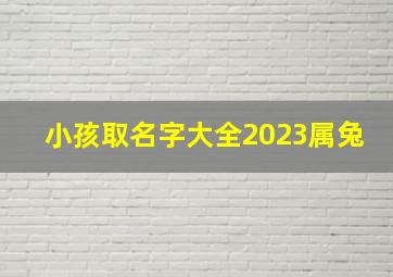 小孩取名字大全2023属兔,给宝宝取名字2023年属兔女孩名字怎么取