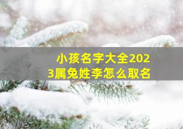 小孩名字大全2023属兔姓李怎么取名,属兔的小男孩取名字