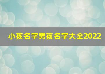 小孩名字男孩名字大全2022,新颖的男孩子小名大全2022【10篇