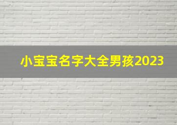 小宝宝名字大全男孩2023,小宝宝名字大全男孩骆性