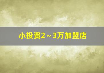 小投资2～3万加盟店,3万元可以开个什么样的小店啊