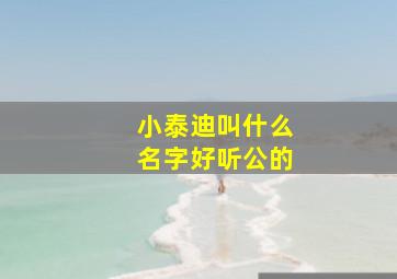 小泰迪叫什么名字好听公的