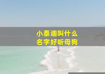 小泰迪叫什么名字好听母狗