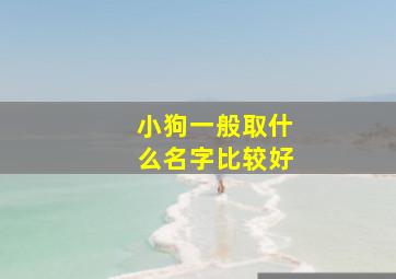 小狗一般取什么名字比较好,小狗取什么名字比较好?