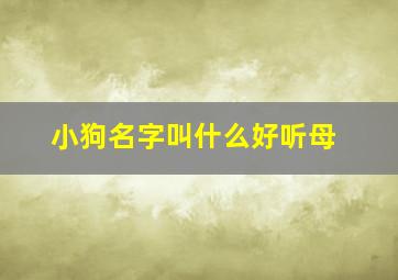 小狗名字叫什么好听母,小狗叫什么名字好听既可爱母的