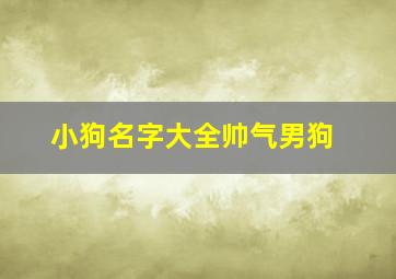 小狗名字大全帅气男狗,小狗名字男生可爱