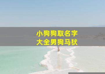 小狗狗取名字大全男狗马犾,小狗起什么名字好听男狗另类