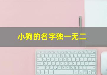 小狗的名字独一无二,小狗的名字呆萌的可爱的