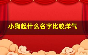 小狗起什么名字比较洋气,小狗起什么名字好呢