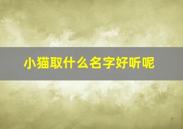 小猫取什么名字好听呢