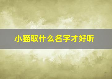 小猫取什么名字才好听,小猫取什么名字才好听一点