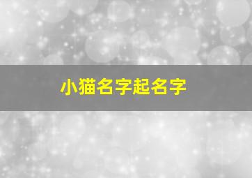 小猫名字起名字,小猫名字推荐