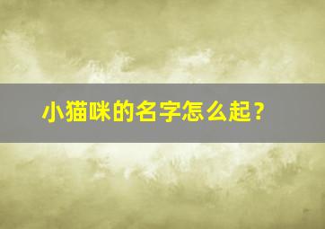 小猫咪的名字怎么起？,小猫的名字起什么好