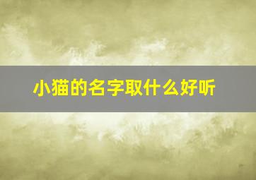 小猫的名字取什么好听,小猫的名字取什么好听女孩