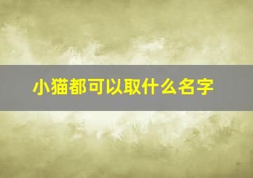 小猫都可以取什么名字,小猫都可以取什么名字?