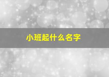 小班起什么名字,小班的名字怎么取