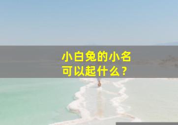 小白兔的小名可以起什么？,小白兔的名字可以取什么