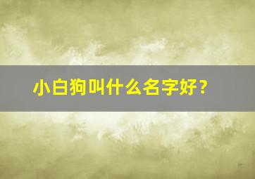 小白狗叫什么名字好？