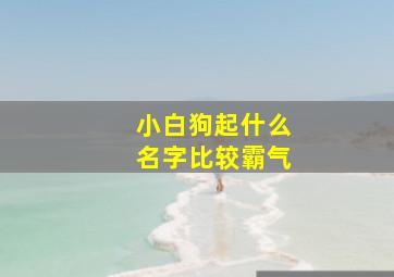 小白狗起什么名字比较霸气,小白狗该起什么名字