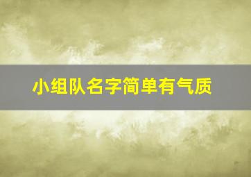 小组队名字简单有气质,小组队名有趣