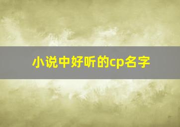 小说中好听的cp名字,小说里好听的cp名字