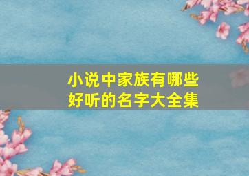 小说中家族有哪些好听的名字大全集,小说里好听的家族名字