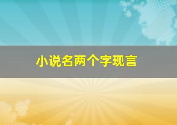 小说名两个字现言,俩字小说名