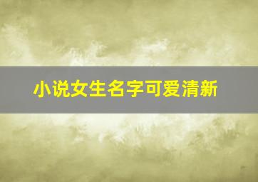 小说女生名字可爱清新,小说女生的名字小清新