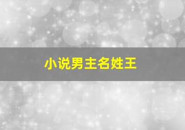 小说男主名姓王,小说男主名字姓王