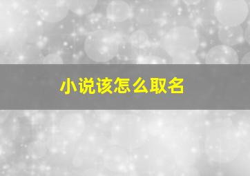 小说该怎么取名,小说怎么取名字好听的原创小说书名