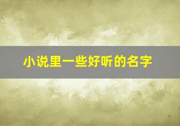 小说里一些好听的名字,小说里超好听的名字