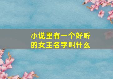 小说里有一个好听的女主名字叫什么,小说里有一个好听的女主名字叫什么