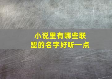 小说里有哪些联盟的名字好听一点,好看的联盟小说