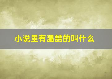 小说里有温喆的叫什么,温睿是哪本小说