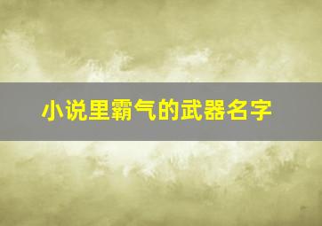 小说里霸气的武器名字,玄幻小说里的霸气的武器名字