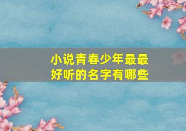 小说青春少年最最好听的名字有哪些,给青春小说起唯美的名字